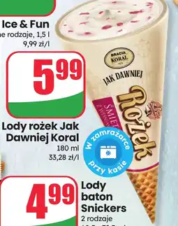 Dino Lody Bracia Koral oferta