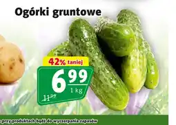 Prim Market Ogórki oferta