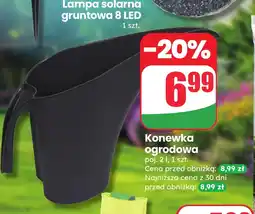 Dino Lampa solarna oferta