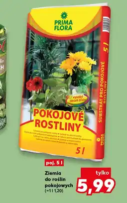 Kaufland Ziemia do roślin Prima flora oferta