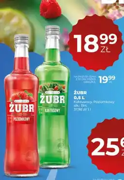 Duży Ben Likier Żubr Kaktusowy oferta