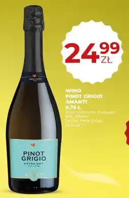Duży Ben Wino Pinot Grigio Amanti białe wytrawne musujące włoskie Extra Dry oferta