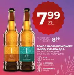 Duży Ben Piwo Kormoran 1 na 100 Pigwowiec i Miód Rye APA oferta