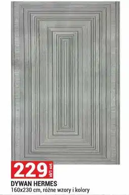 Merkury Market Dywan Hermes 160x230cm oferta