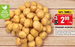 Polomarket Ziemniaki wczesne oferta
