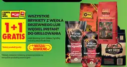 Biedronka Wszystkie brykiety z węgla drzewnego lub węgiel instant do grillowania oferta