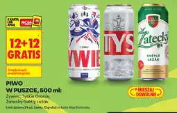 Biedronka PIWO W PUSZCE Żywiec, Tyskie Gronie, Žatecký Světlý Ležák oferta