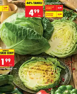 Biedronka Kapusta młoda, szt oferta