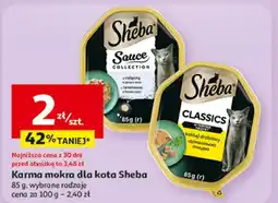 Auchan Mokra karma dla kota Sheba oferta