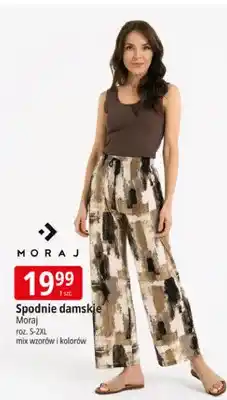 E.Leclerc Spodnie damskie Moraj mix wzorów i kolorów oferta