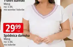 E.Leclerc Spódnica damska Moraj roz. S-3XL oferta