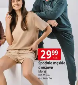 E.Leclerc Spodnie męskie dresowe Moraj roz. M-3XL mix kolorów oferta