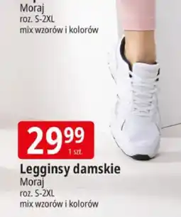 E.Leclerc Legginsy damskie Moraj roz. S-2XL mix kolorów oferta