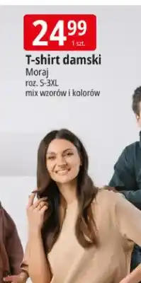 E.Leclerc T-shirt damski Moraj roz. S-3XL mix wzorów i kolorów oferta