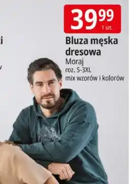 E.Leclerc Bluza męska dresowa Moraj roz. S-3XL mix wzorów i kolorów oferta