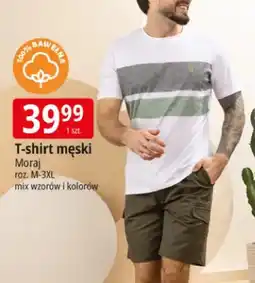 E.Leclerc T-shirt męski Moraj 100% bawełna roz. M-3XL mix wzorów i kolorów oferta