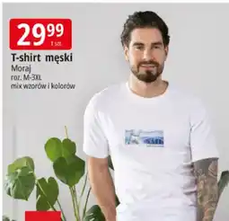 E.Leclerc T-shirt męski Moraj oferta