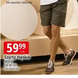 E.Leclerc Szorty męskie Moraj roz. M-3XL mix kolorów oferta
