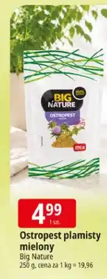 E.Leclerc Ostropest plamisty mielony Big Nature oferta
