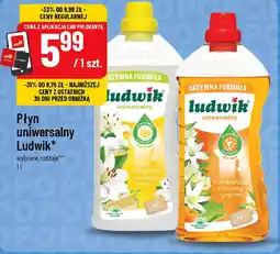 Polomarket Płyn uniwersalny Ludwik oferta