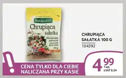 Selgros Chrupiąca sałatka oferta