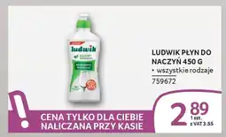 Selgros Ludwik płyn do naczyń oferta