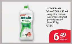 Selgros Ludwik płyn do naczyń oferta