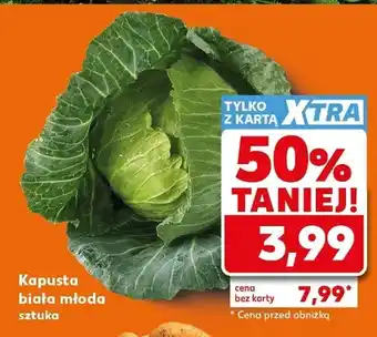 Kapusta biała młoda
