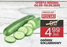 Wafelek Ogórek szklarniowy oferta