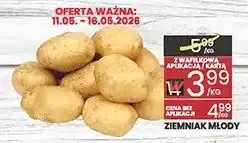 Wafelek Ziemniak młody polski oferta