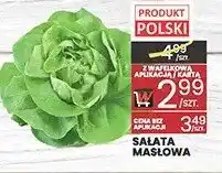 Wafelek Sałata masłowa polska oferta