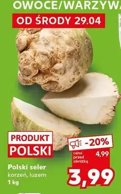 Kaufland Seler korzeń luzem polski oferta