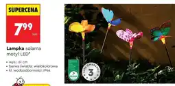 Biedronka Lampka solarna motyl LED oferta