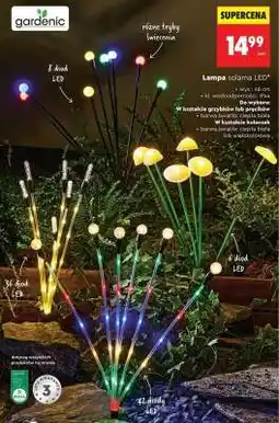 Biedronka Lampa solarna LED oferta