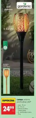 Biedronka Lampa solarna pochodnia LED oferta