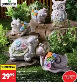 Biedronka Figurka lub osłonka na doniczkę oferta