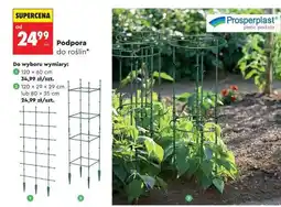 Biedronka Podpora do roślin oferta