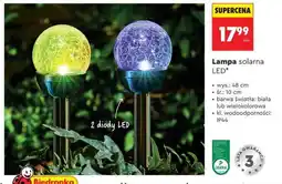 Biedronka Lampa solarna LED oferta