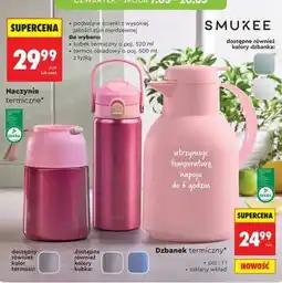 Biedronka Dzbanek termiczny oferta