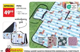 Biedronka Mata piknikowa oferta