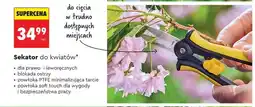 Biedronka Sekator do kwiatów oferta