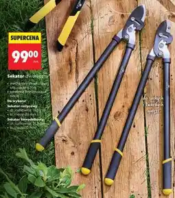Biedronka Sekator dwuręczny oferta