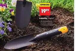Biedronka Łopatka wąska oferta