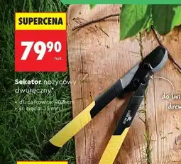 Biedronka Sekator nożycowy dwuręczny oferta