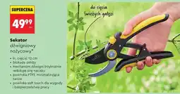 Biedronka Sekator dźwigniowy nożycowy oferta
