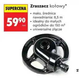 Biedronka Zraszacz kołowy oferta