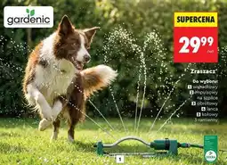 Biedronka Zraszacz oferta