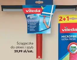 Biedronka Ściągaczka do okien i szyb Vileda oferta