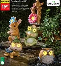 Biedronka gardenic Figurka solarna LED oferta