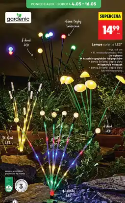 Biedronka Lampa solarna LED Gardenic oferta
